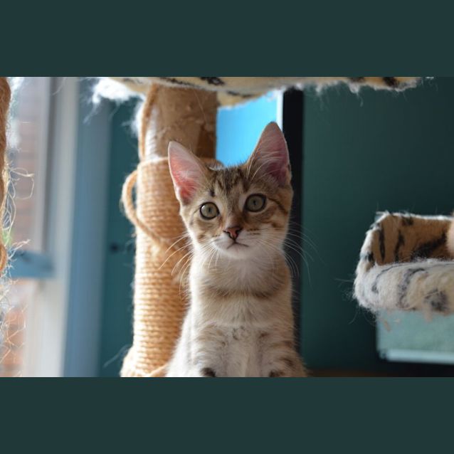 Photo of Hazel