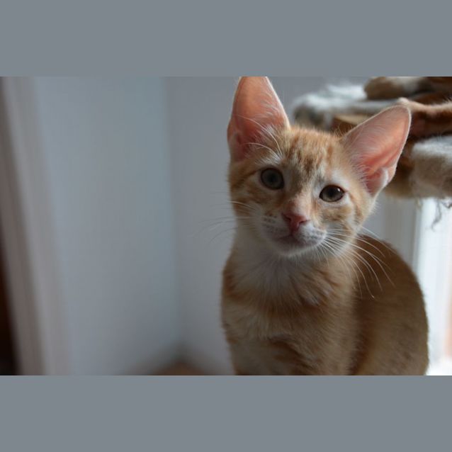 Photo of Annabelle