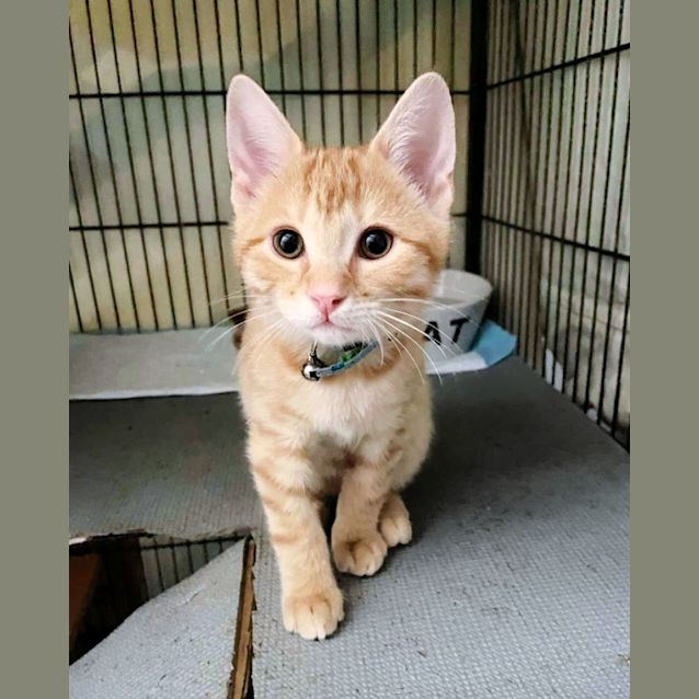 Photo of 🧛‍♂️ Nandor The Relentless 🧛‍♂️