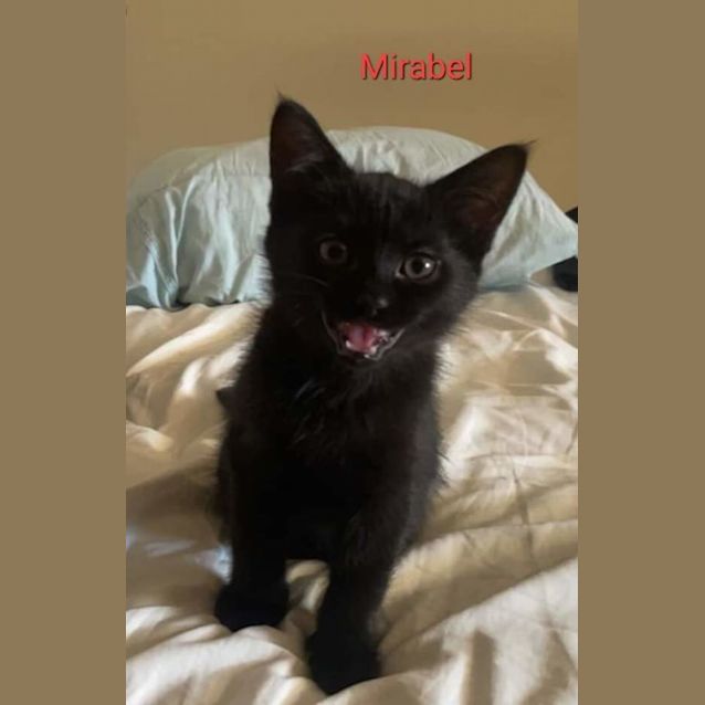 Photo of Mirabel