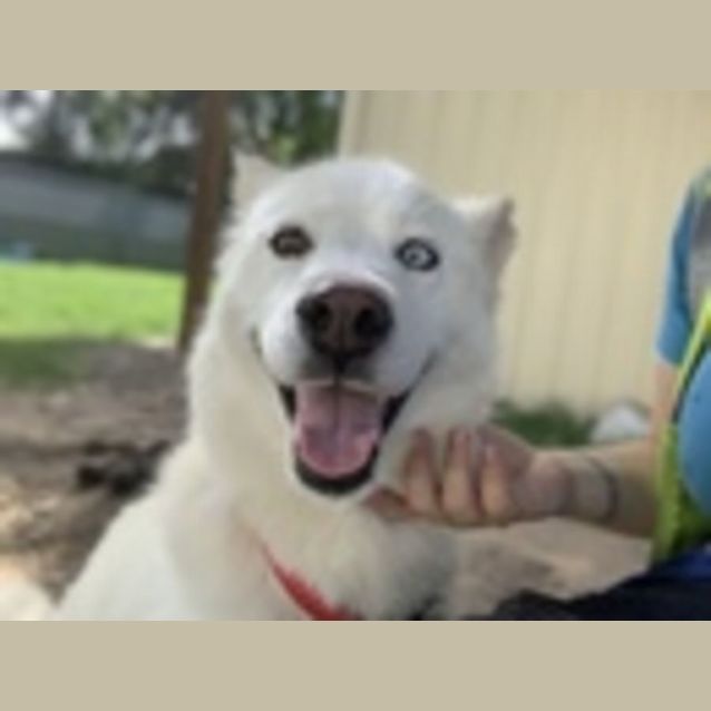 Photo of Roxy