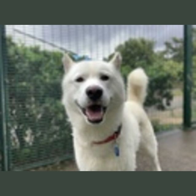 Photo of Diablo