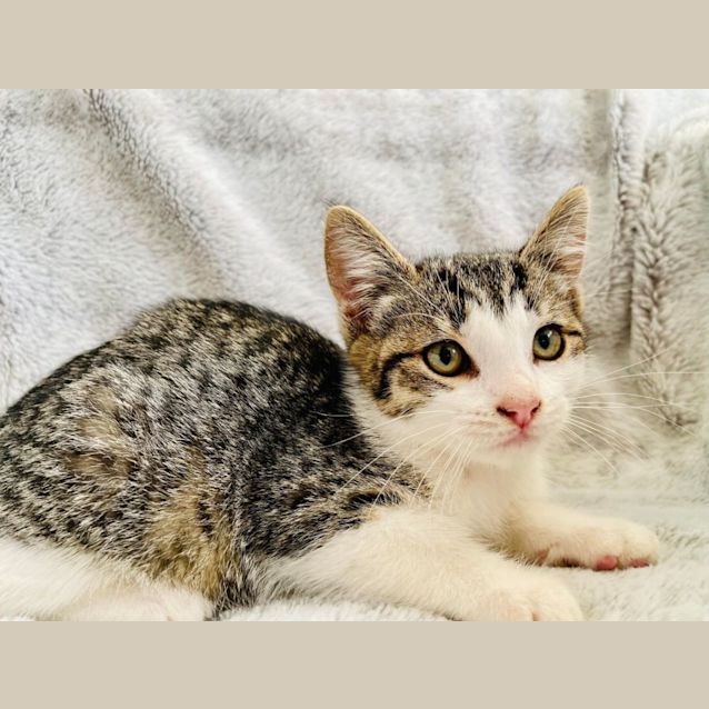 Photo of Edward   Located In Cranbourne