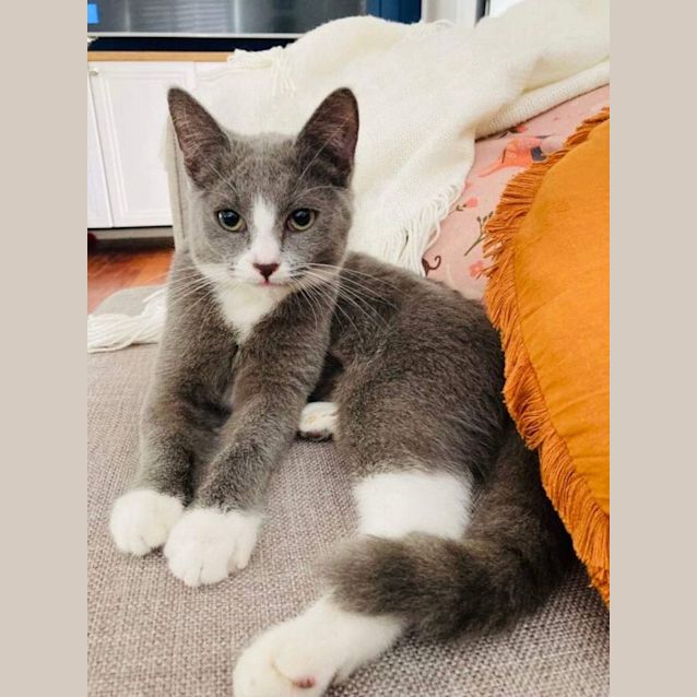 Photo of Syra