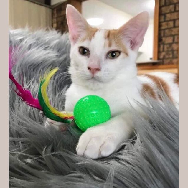 Photo of Isaac & Shirley 