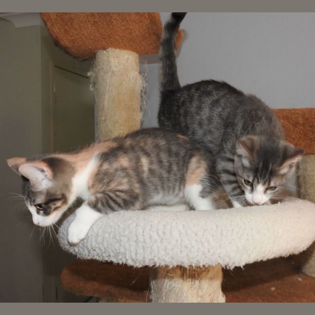 Photo of Gemma And Alexa