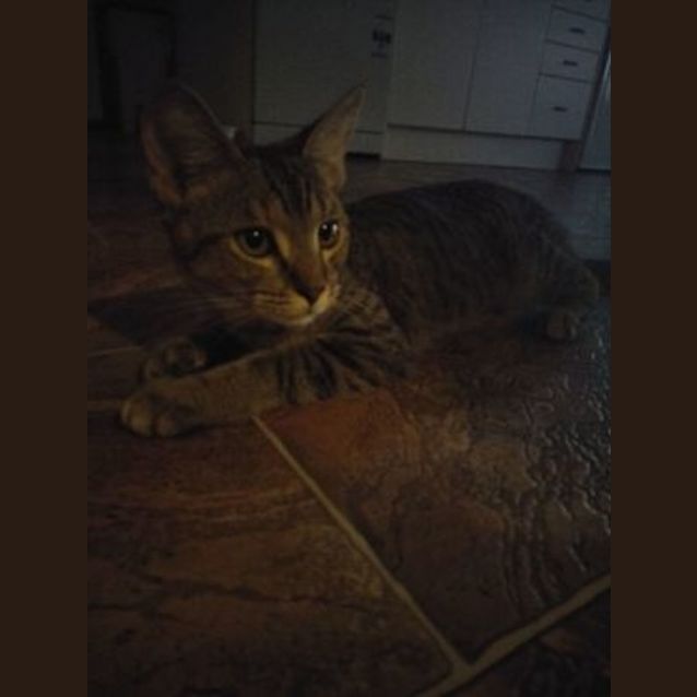 Photo of Rosalie (Rosie)