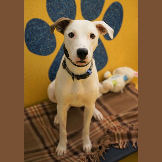 Photo of Meeka