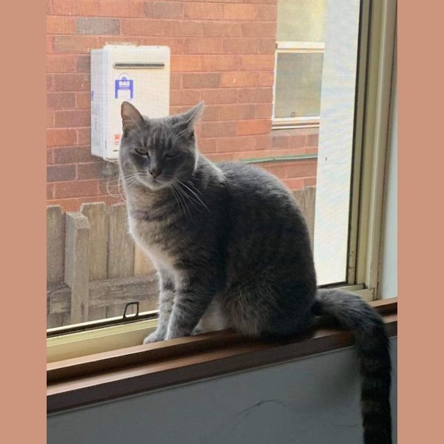 Photo of Shadow And Rain