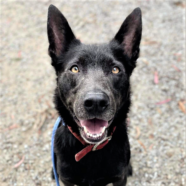 Photo of Blue