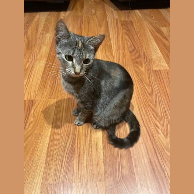 Photo of Roxi
