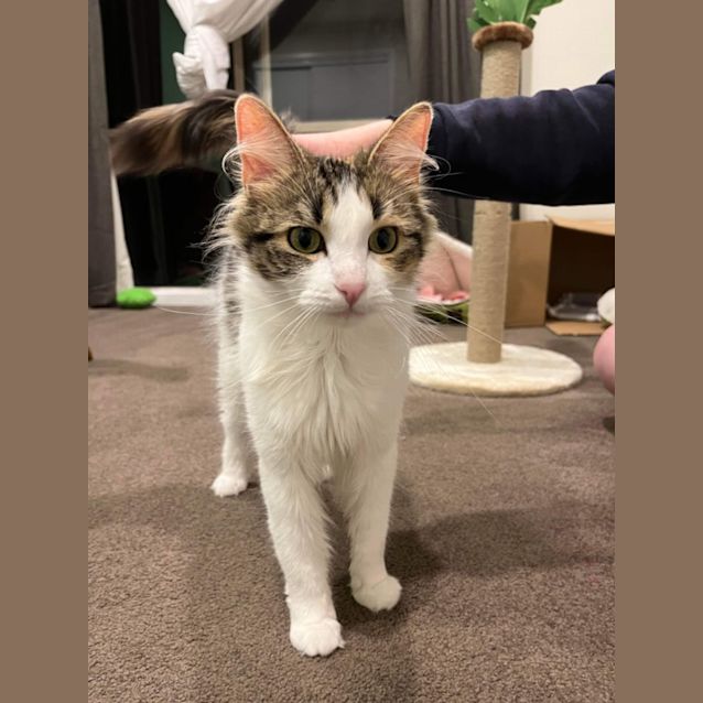 Photo of Princess & Posie