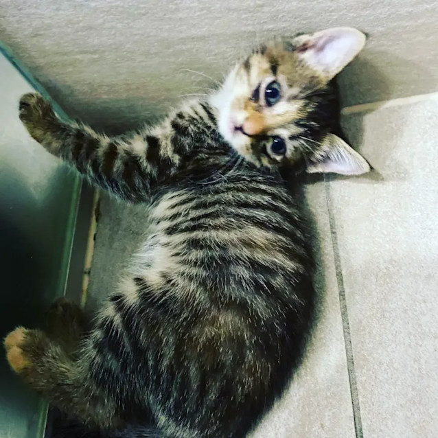 Photo of Evie