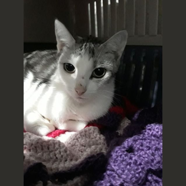 Photo of Skyla
