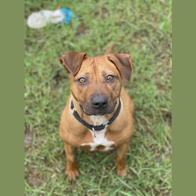 Photo of Roxy