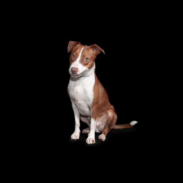 Photo of Zeus