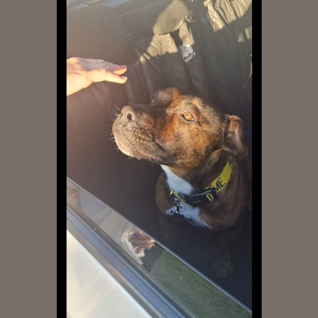 Photo of Max 