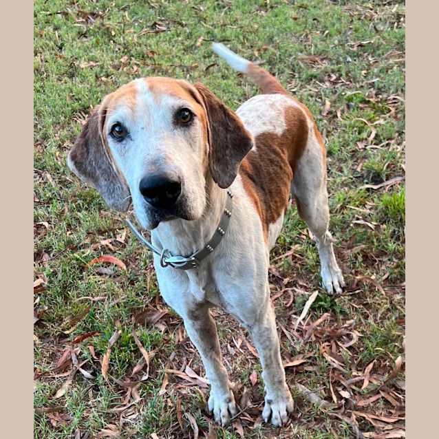 Photo of Shaun & Ben