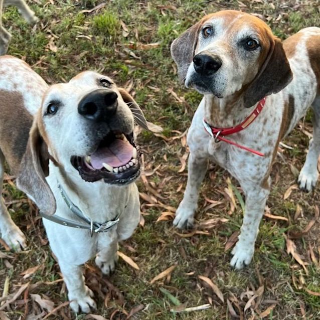 Photo of Shaun & Ben