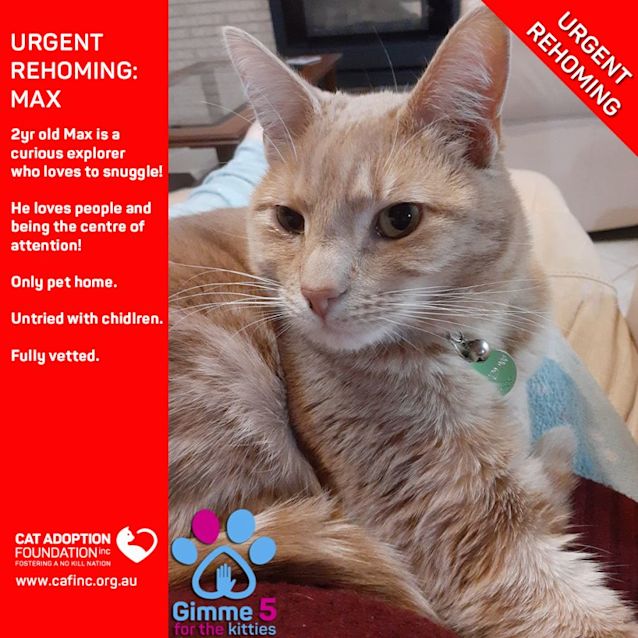 Photo of Max