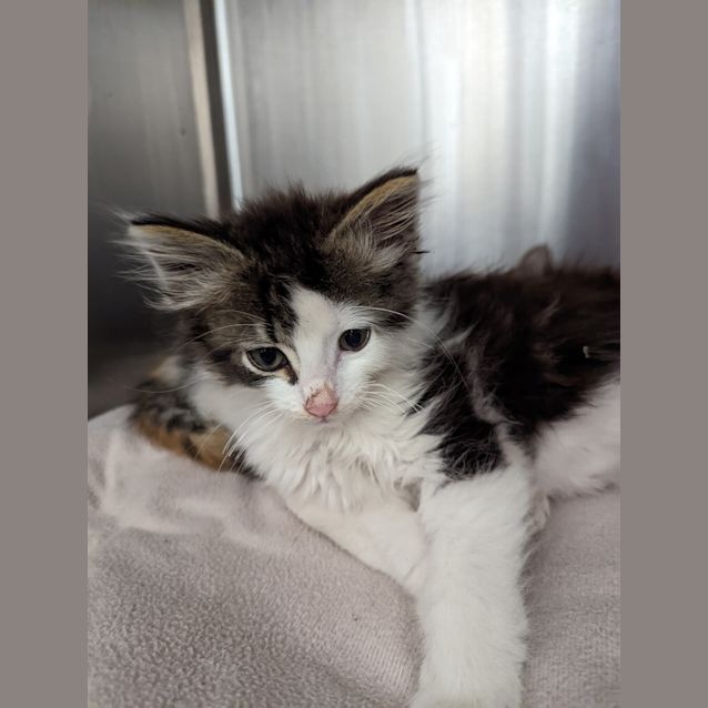 Photo of Bucky