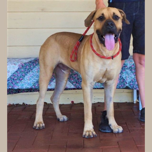 Photo of Sampson