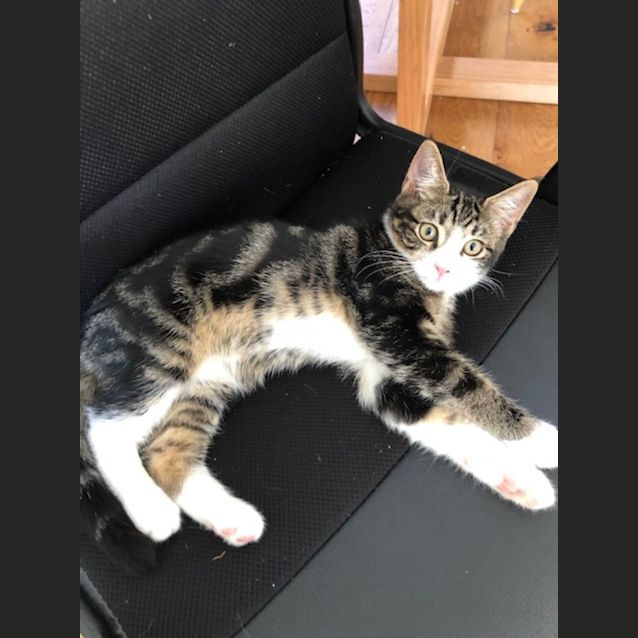 Photo of Bud And Joey