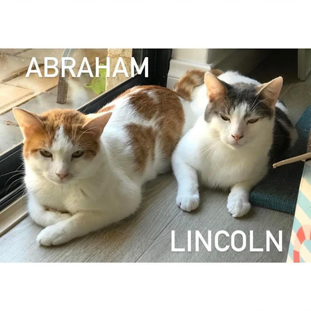 Photo of 4915/16   Abraham & Lincoln 