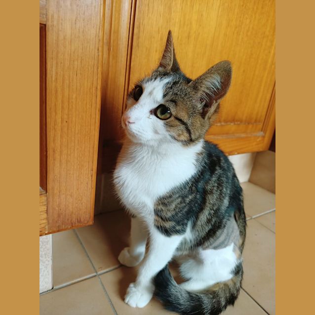 Photo of Princess