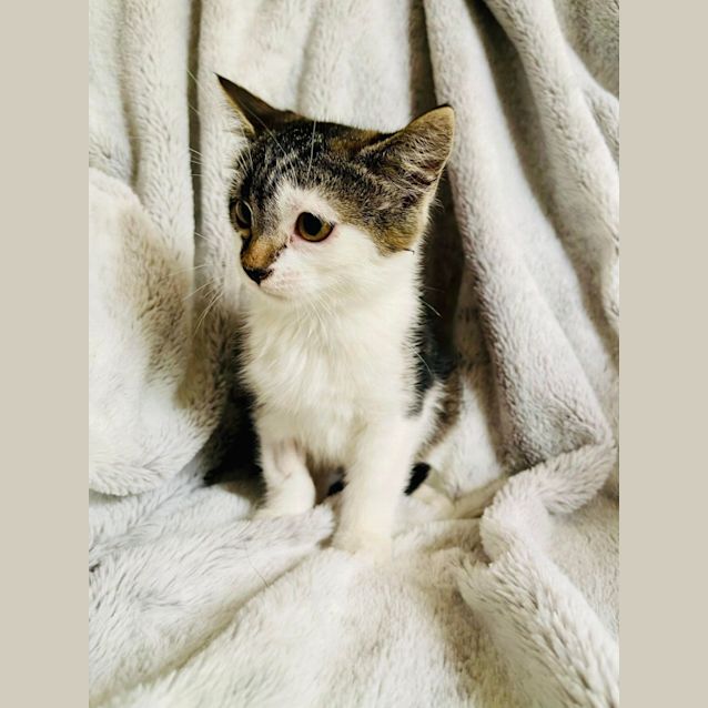 Photo of Ella   Located In Cranbourne