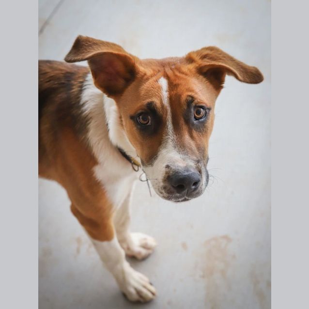 Photo of Zena