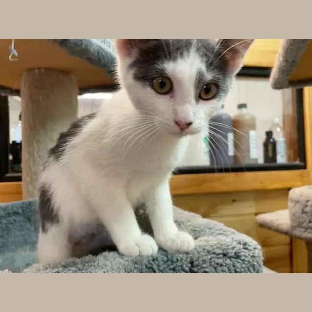 Photo of Princess Poppy