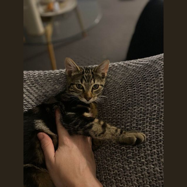 Photo of Yuki   Located In Southbank