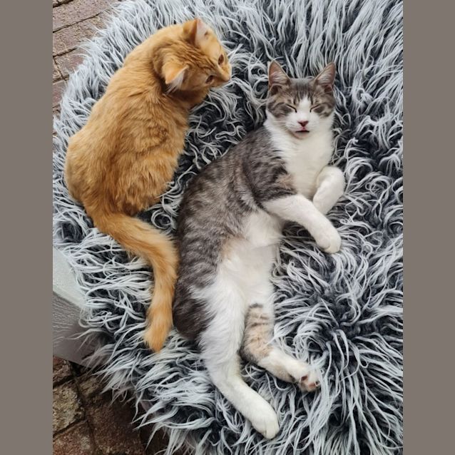 Photo of Caspian And Lilly Rose