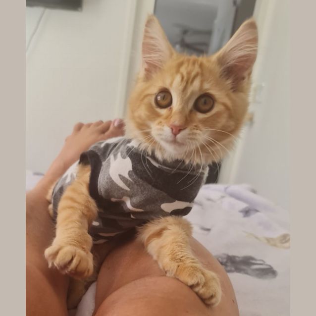 Photo of Lilly Rose And Caspian