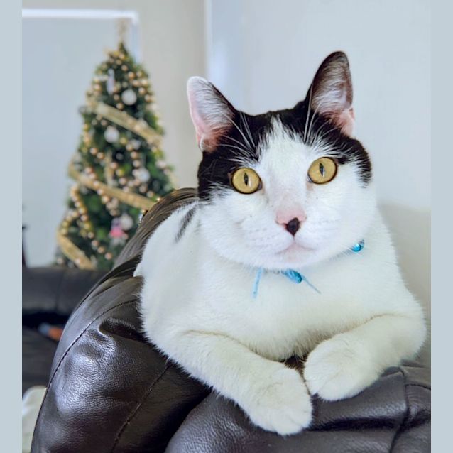 Photo of Shelly