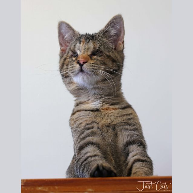 Photo of Mavis