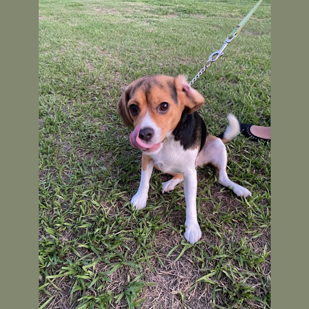 Photo of Hugo