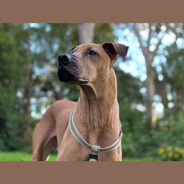 Photo of Kingston