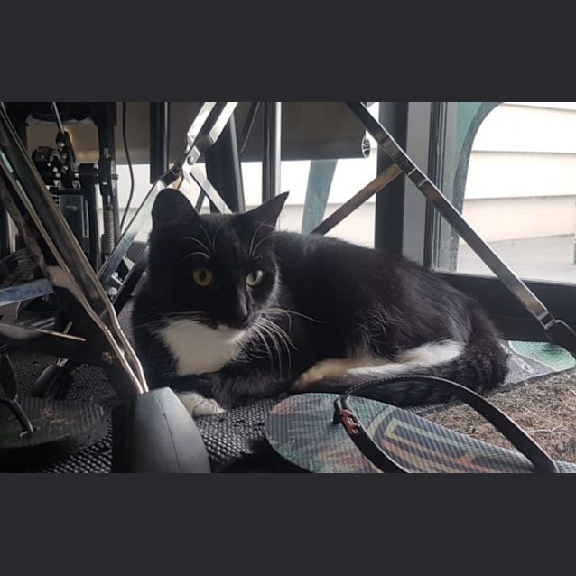 Photo of Mabel Malone