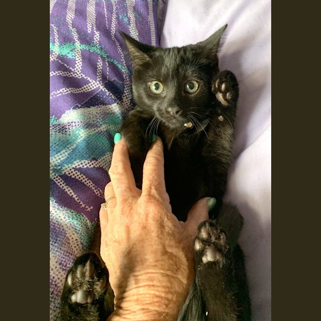 Photo of Rihanna Panther