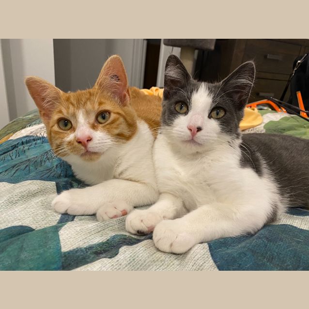 Photo of Taffy And Bootsy