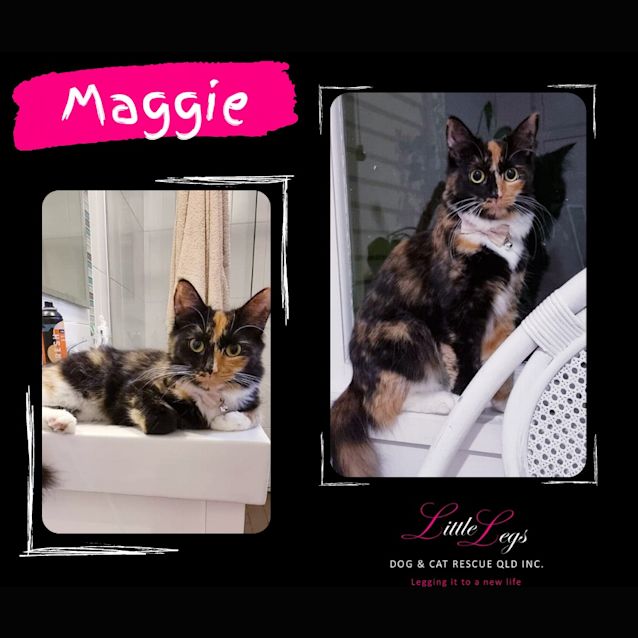 Photo of Maggie