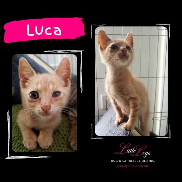 Photo of Luca