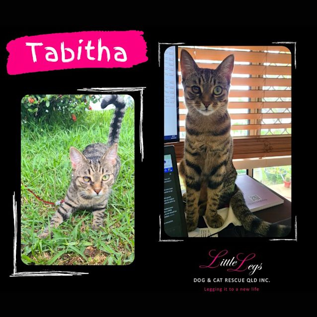 Photo of Tabitha