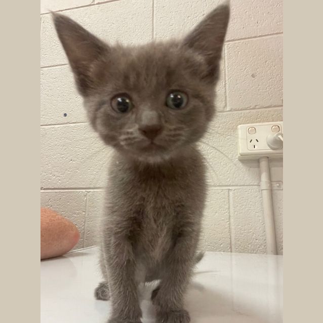 Photo of (Thunder) Storm