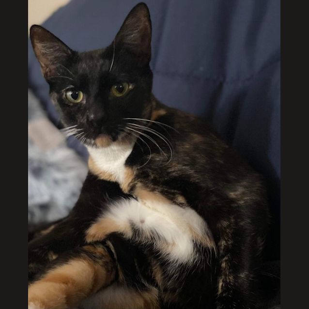 Photo of Maude