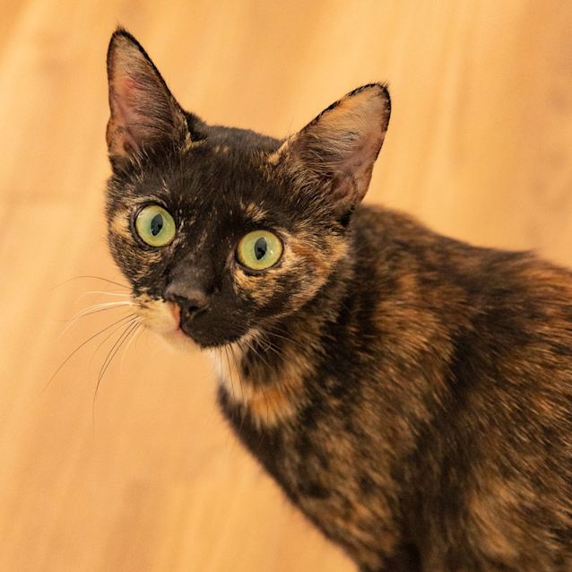 Photo of Mila