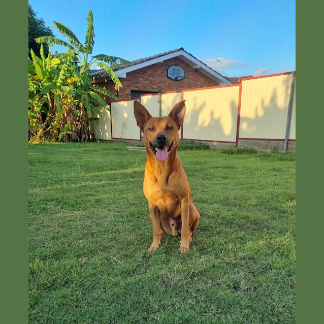 Photo of Ace