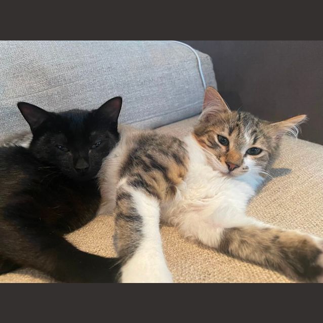 Photo of Bonnie And Floofy